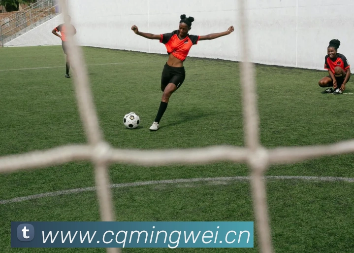 半岛网官网登录入口平台生态图