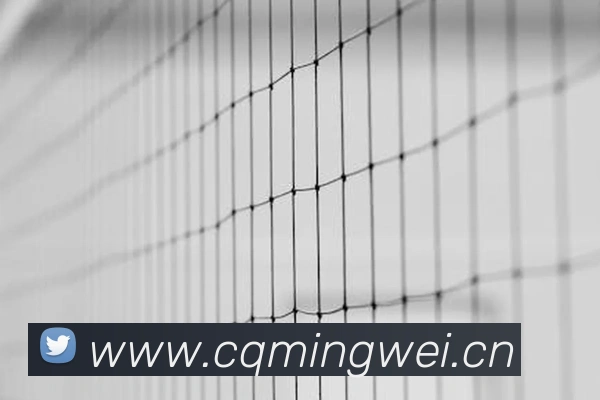 半岛网官网登录入口全站App